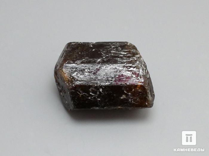 Дравит (турмалин), кристалл двухголовик 2,5-3 см, 10-33/8, фото 1