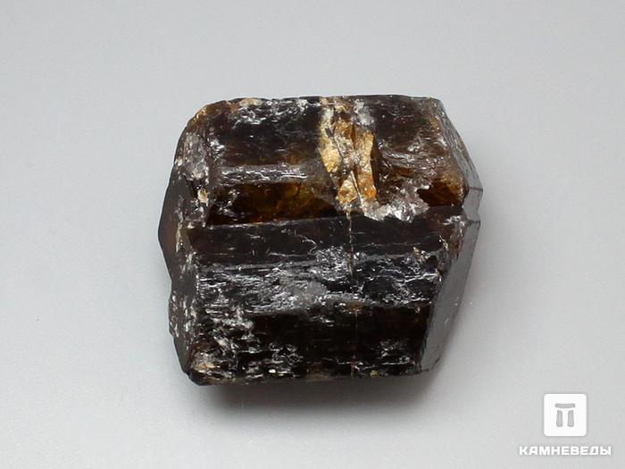 Дравит (турмалин), кристалл двухголовик 3х2,6х2 см, 10-33/10, фото 1