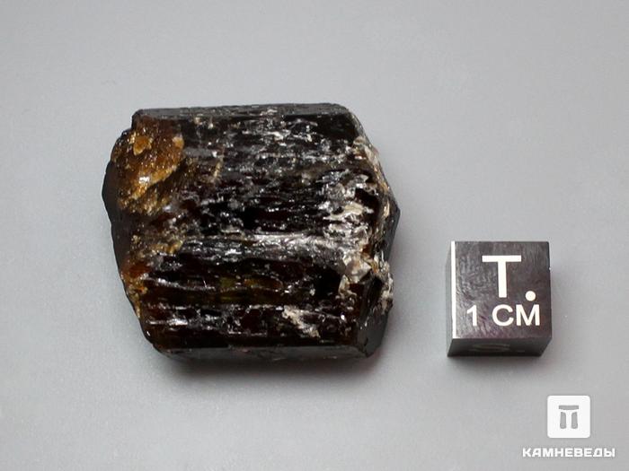 Дравит (турмалин), кристалл двухголовик 3х2,6х2 см, 10-33/10, фото 2