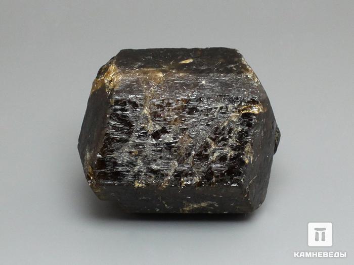 Дравит (турмалин), кристалл двухголовик 3,9х3,2х3 см, 10-33/11, фото 2