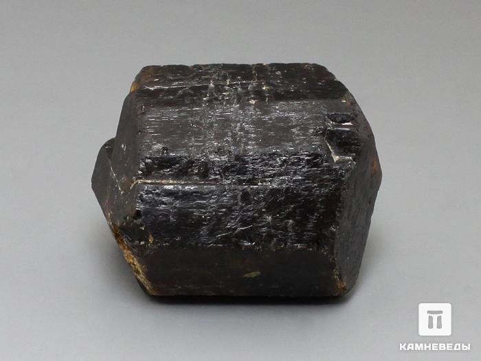 Дравит (турмалин), кристалл двухголовик 3,9х3,2х3 см, 10-33/11, фото 1