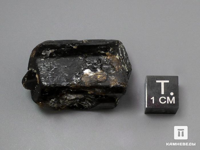 Дравит (турмалин), кристалл двухголовик 3,3х2,2х2 см, 10-33/9, фото 2