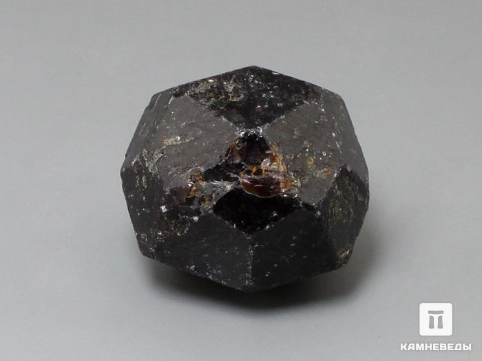 Альмандин (гранат), кристалл 2,7х2,5 см, 10-158/43, фото 1