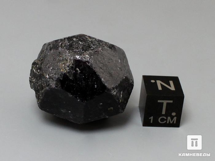 Альмандин (гранат), кристалл 2,7х2,5 см, 10-158/43, фото 2