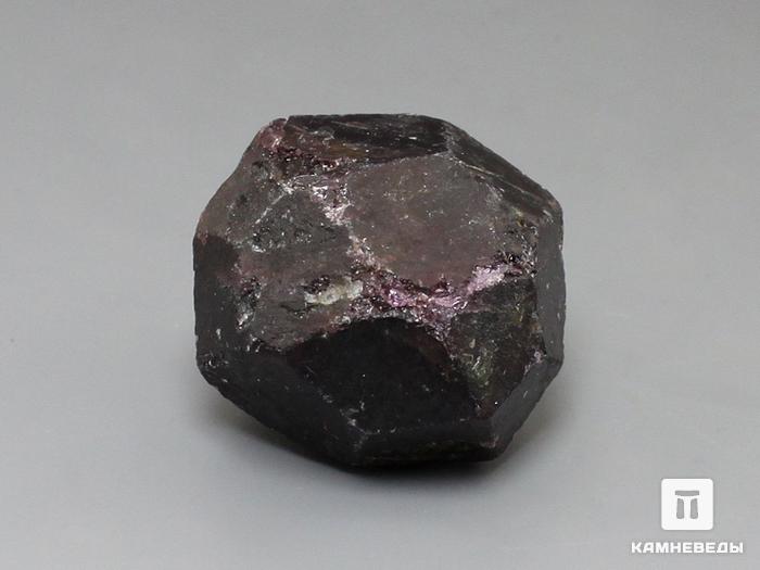 Альмандин (гранат), кристалл 3х2,5 см, 10-158/46, фото 1