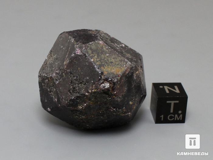 Альмандин (гранат), кристалл 3х3 см, 10-158/47, фото 2
