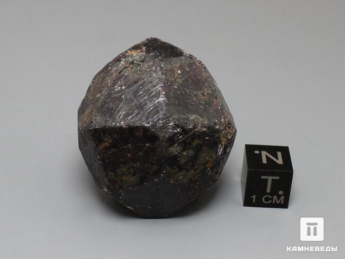 Альмандин (гранат), кристалл 3,5х3 см, 10-158/48, фото 2
