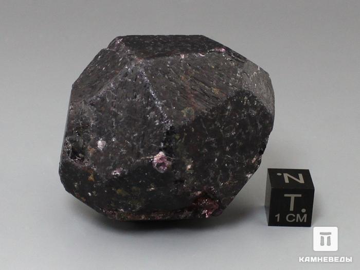 Альмандин (гранат), кристалл 5,2х4,3х4 см, 10-158/51, фото 3