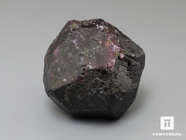 Альмандин, Гранат. Альмандин (гранат), кристалл 3,8х3,8 см