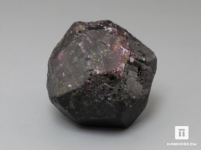 Альмандин (гранат), кристалл 3,8х3,8 см, 10-158/49, фото 1