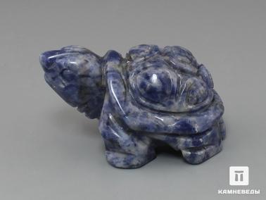 Содалит. Черепаха из содалита, 5х3,5х3 см