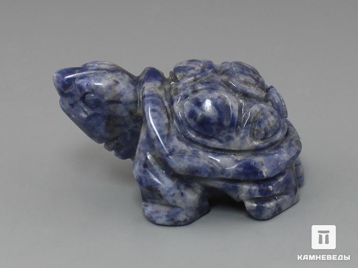 Черепаха из содалита, 5х3,5х3 см, 23-268, фото 1