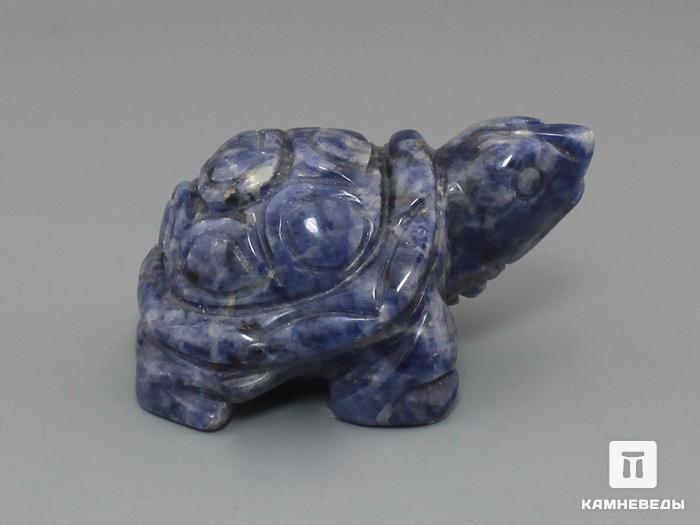 Черепаха из содалита, 5х3,5х3 см, 23-268, фото 2
