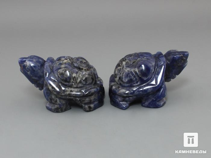 Черепаха из содалита, 5х3,5х3 см, 23-268, фото 3