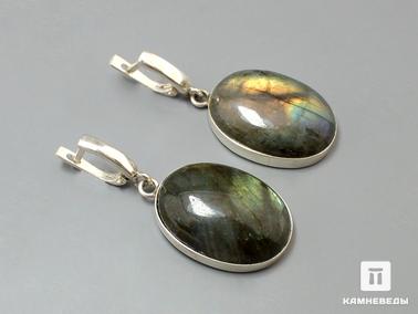 Лабрадор. Серьги с лабрадором