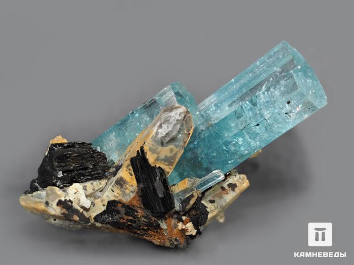 Аквамарин (голубой берилл) с шерлом, сросток кристаллов 4,5х4,4х2,5 см, 10-29/33, фото 2