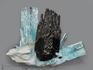 Аквамарин (голубой берилл) с шерлом, сросток кристаллов 5х3,6х2,3 см, 10-29/34, фото 1
