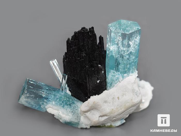 Аквамарин (голубой берилл) с шерлом, сросток кристаллов 5х3,6х2,3 см, 10-29/34, фото 3