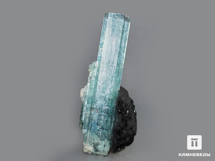 Аквамарин (голубой берилл) с шерлом, сросток кристаллов 3,8х3,3х1,6 см, 10-29/35, фото 2