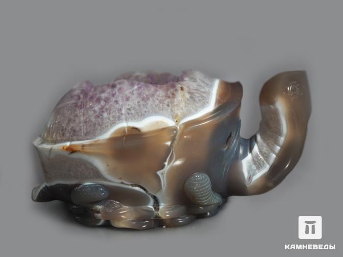Черепаха из агата с жеодой аметиста, 22х11х10,9 см, 23-116/2, фото 6