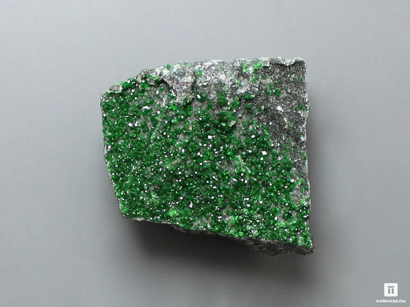 Уваровит (зелёный гранат) в пластиковом боксе, 2-2,5 см