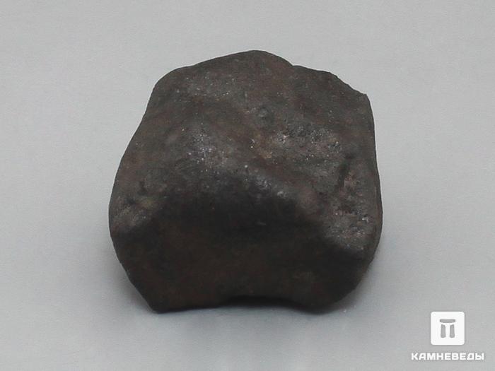 Метеорит Озерки, индивидуал 2,5х2,4х1,9 см, 10-569, фото 3