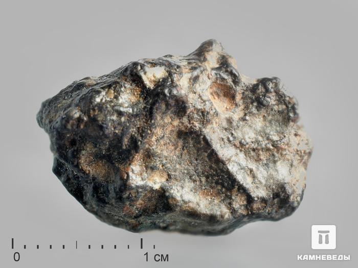 Лунный метеорит NWA 10203, 1,8х1,3х0,8 см, 10-187/13, фото 1