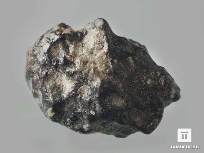 Лунный метеорит NWA 10203, 1,8х1,3х0,8 см, 10-187/13, фото 2