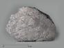 Метеорит Muonionalusta, 11,8х8,5х3,2 см, 10-185/4, фото 1