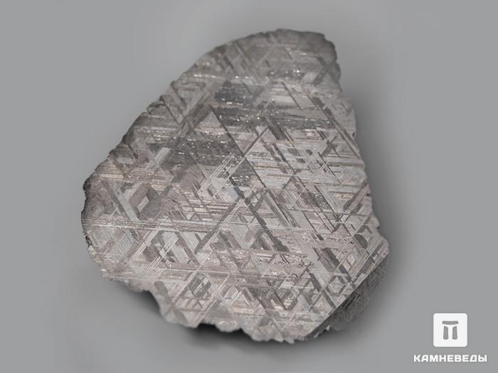 Метеорит Muonionalusta, 11,8х8,5х3,2 см, 10-185/4, фото 3