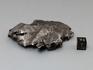 Метеорит Сихотэ-Алинь, осколок 7,8х5,7х1,4 см, 10-17/49, фото 4