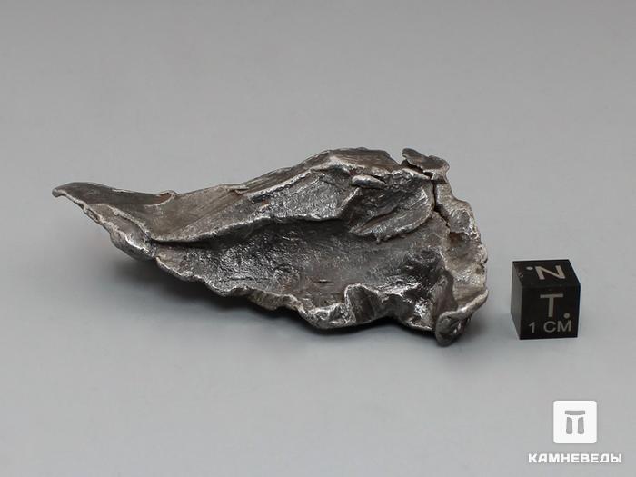 Метеорит Сихотэ-Алинь, осколок 8,1х4,7х2,4 см, 10-17/50, фото 4