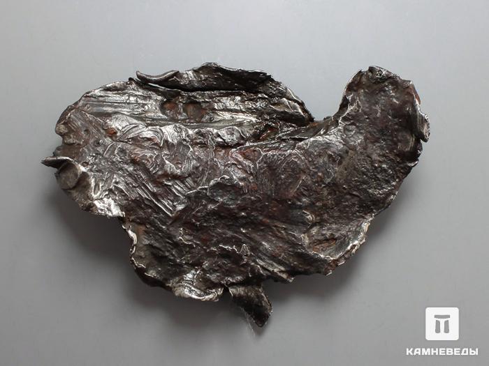 Метеорит Сихотэ-Алинь, осколок 7,8х5,7х1,4 см, 10-17/49, фото 1