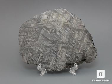 Метеориты. Метеорит Muonionalusta, пластина 12,8х10,1х0,1 см