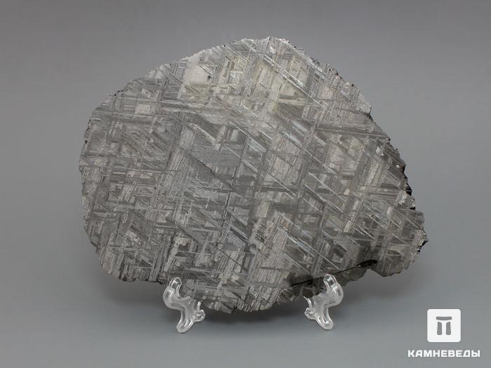 Метеорит Muonionalusta, пластина 12,8х10,1х0,1 см, 10-185/7, фото 1