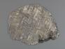 Метеорит Muonionalusta, пластина 12,8х10,1х0,1 см, 10-185/7, фото 2