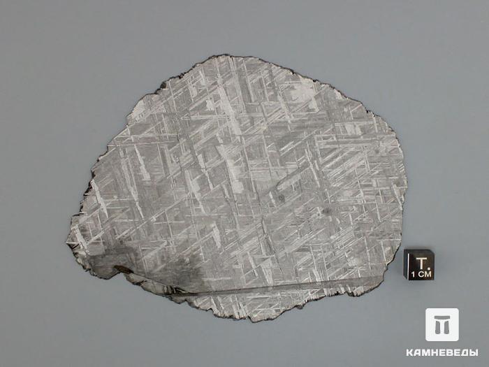 Метеорит Muonionalusta, пластина 12,8х10,1х0,1 см, 10-185/7, фото 3