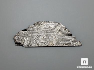 Метеориты. Метеорит Muonionalusta, пластина 6,2х2,3х0,2 см