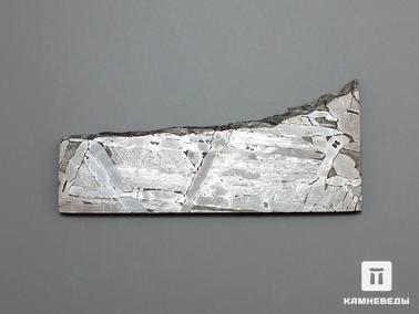 Метеориты. Метеорит Сеймчан, пластина 6,2х2,8х0,2 см