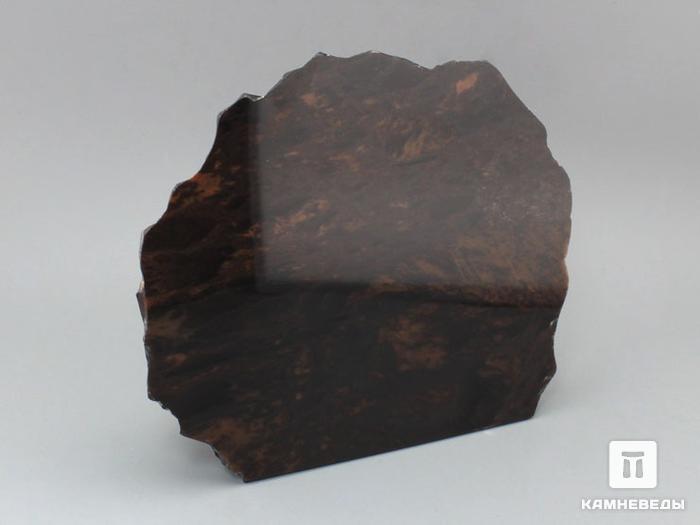 Обсидиан коричневый, полированный срез 15,5х13х4,2 см, 11-116/1, фото 3