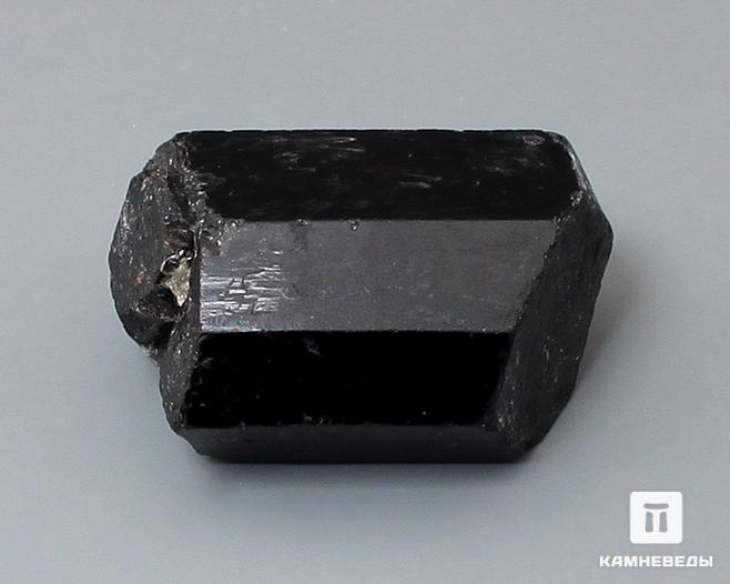 Шерл (турмалин), кристалл двухголовик 3-3,5 см, 10-24/29, фото 2