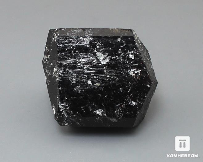 Шерл (турмалин), кристалл двухголовик 4х3 см, 10-24/32, фото 1