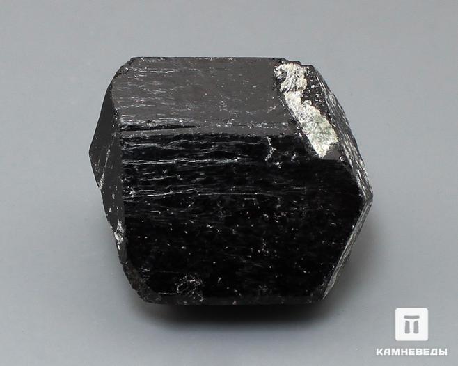 Шерл (турмалин), кристалл двухголовик 4х3 см, 10-24/32, фото 2