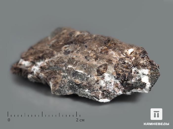 Ферсманит с эгирином, 5,3х2,7х1,3 см, 10-239/4, фото 1
