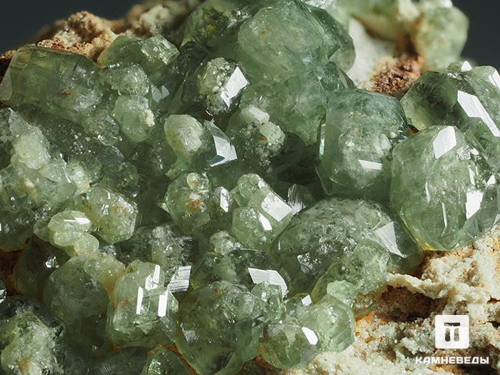 Демантоид, кристаллы на породе 7х4х3 см, 10-247/7, фото 3