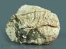 Демантоид, кристаллы на породе 6х4,2х2,5 см, 10-247/9, фото 1