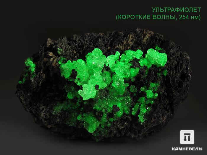 Гиалит на породе, 10,7х7,2х5,5 см, 10-368/2, фото 3