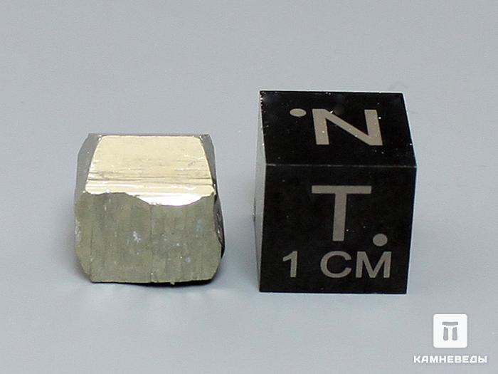 Пирит, кристалл 1 см, 10-525/6, фото 2