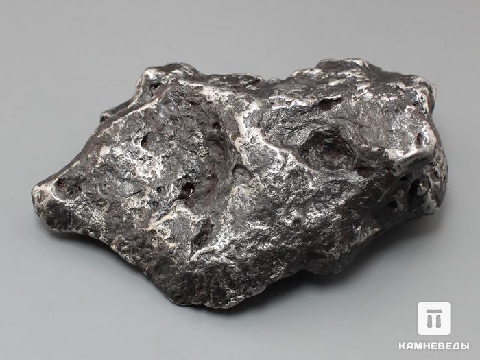 Метеорит Кампо-дель-Сьело, 9,8х6,2х3,4 см, 10-333/23, фото 2