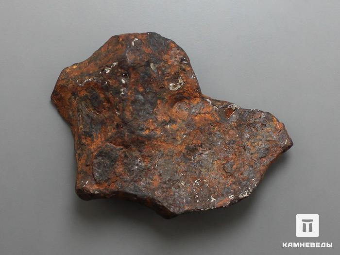 Метеорит Agoudal железный, 5х3,8х1 см, 10-184/26, фото 2